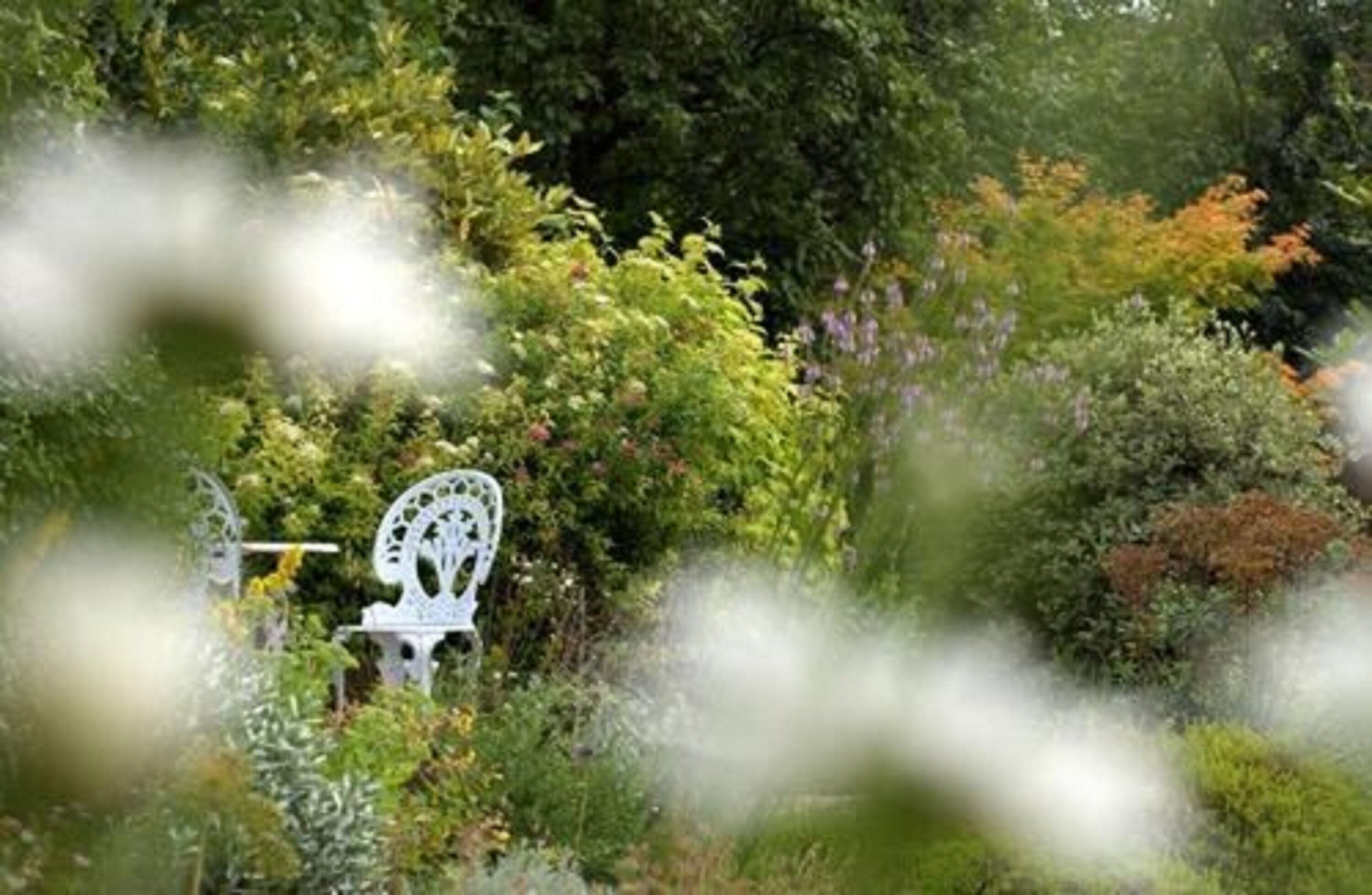 Foto - Dorian House Boutique B&B - Free Parking!