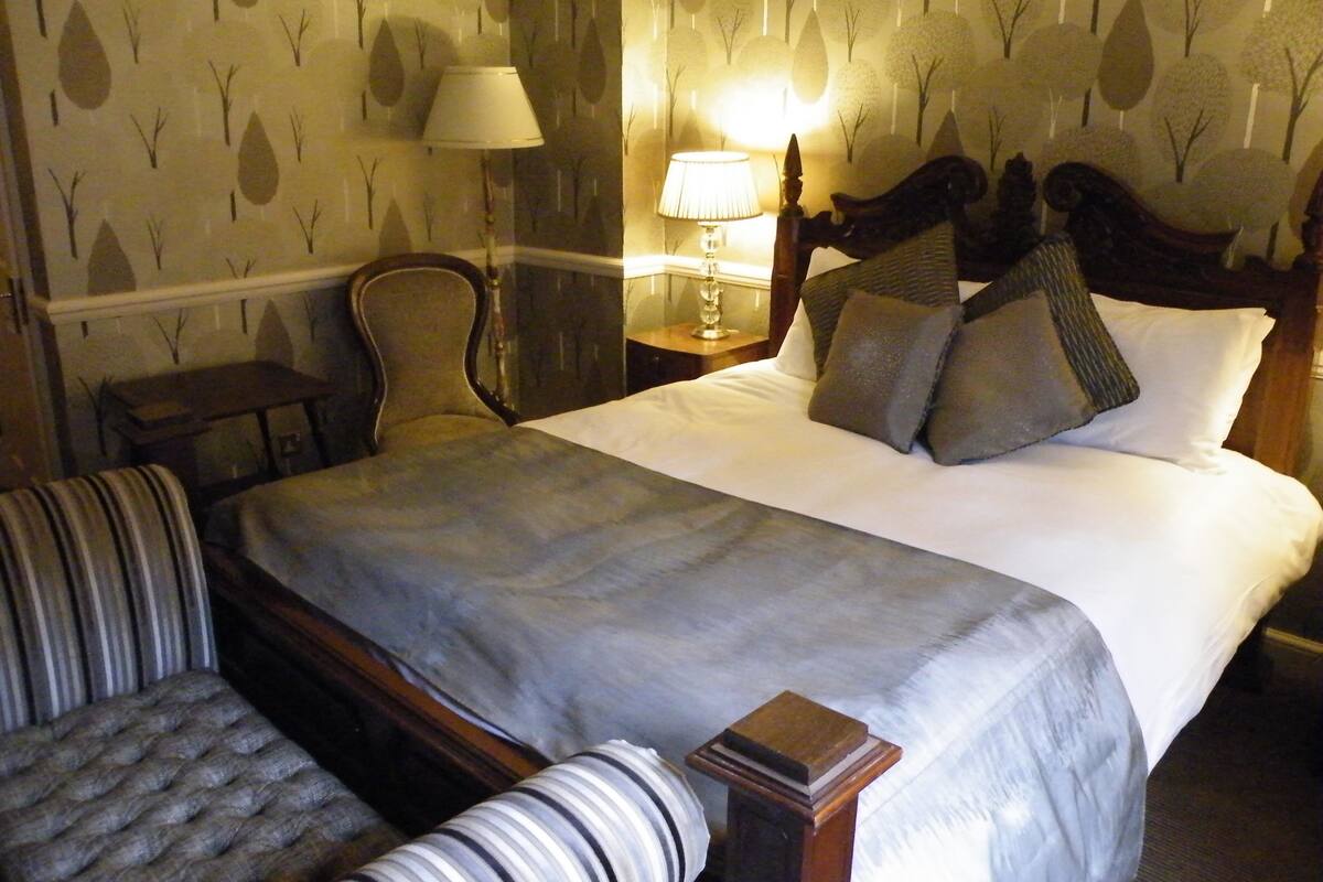 Habitación de hotel con una cama grande, una silla, una mesita de noche con lámpara y una pared decorada con un diseño de árbol.