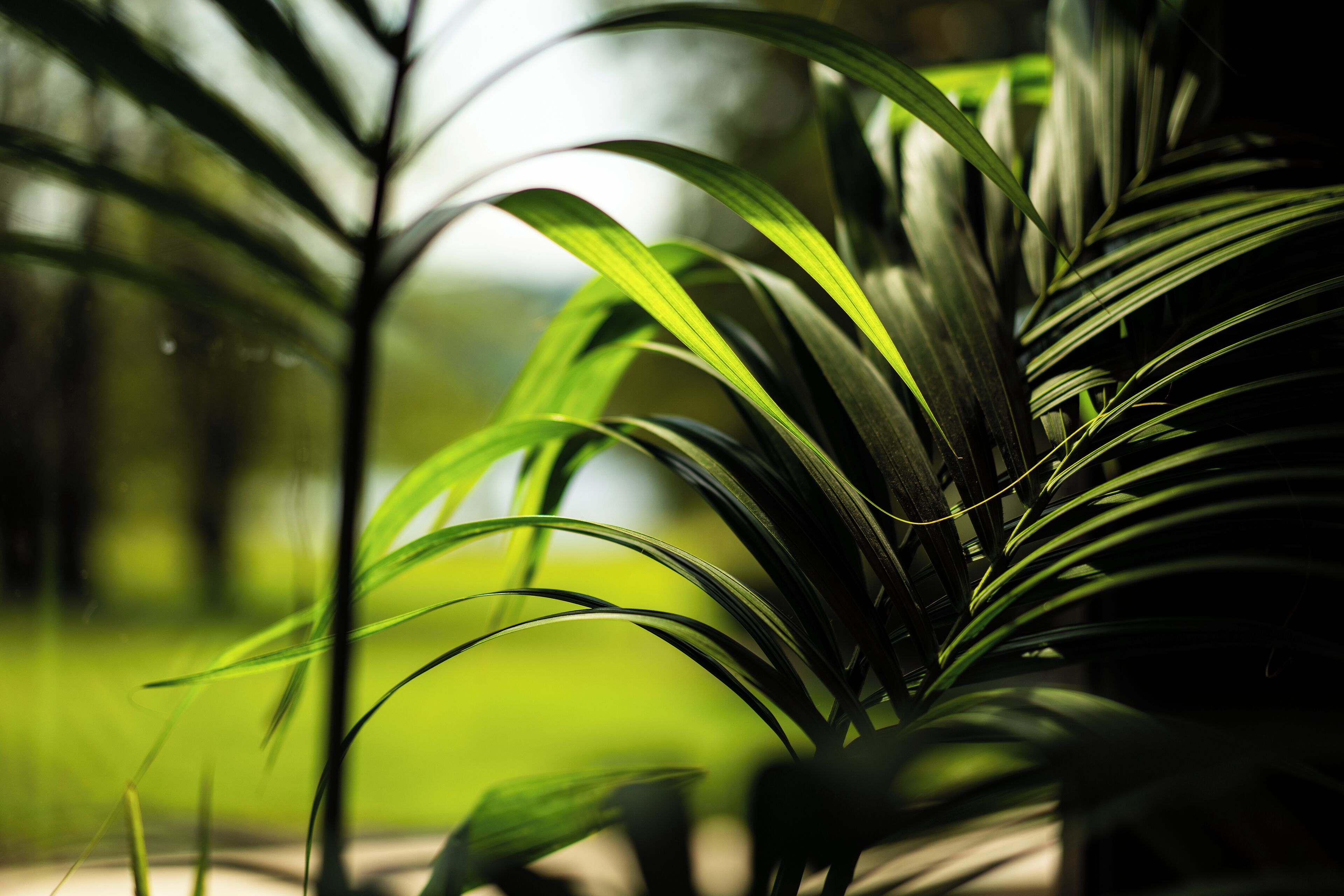 garden suite | 1 bedroom, egyptian cotton sheets, individually decorated