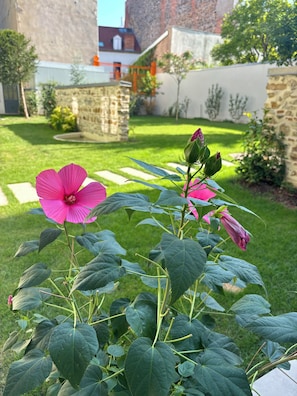 A garden with a flowering plant and a stone wall.