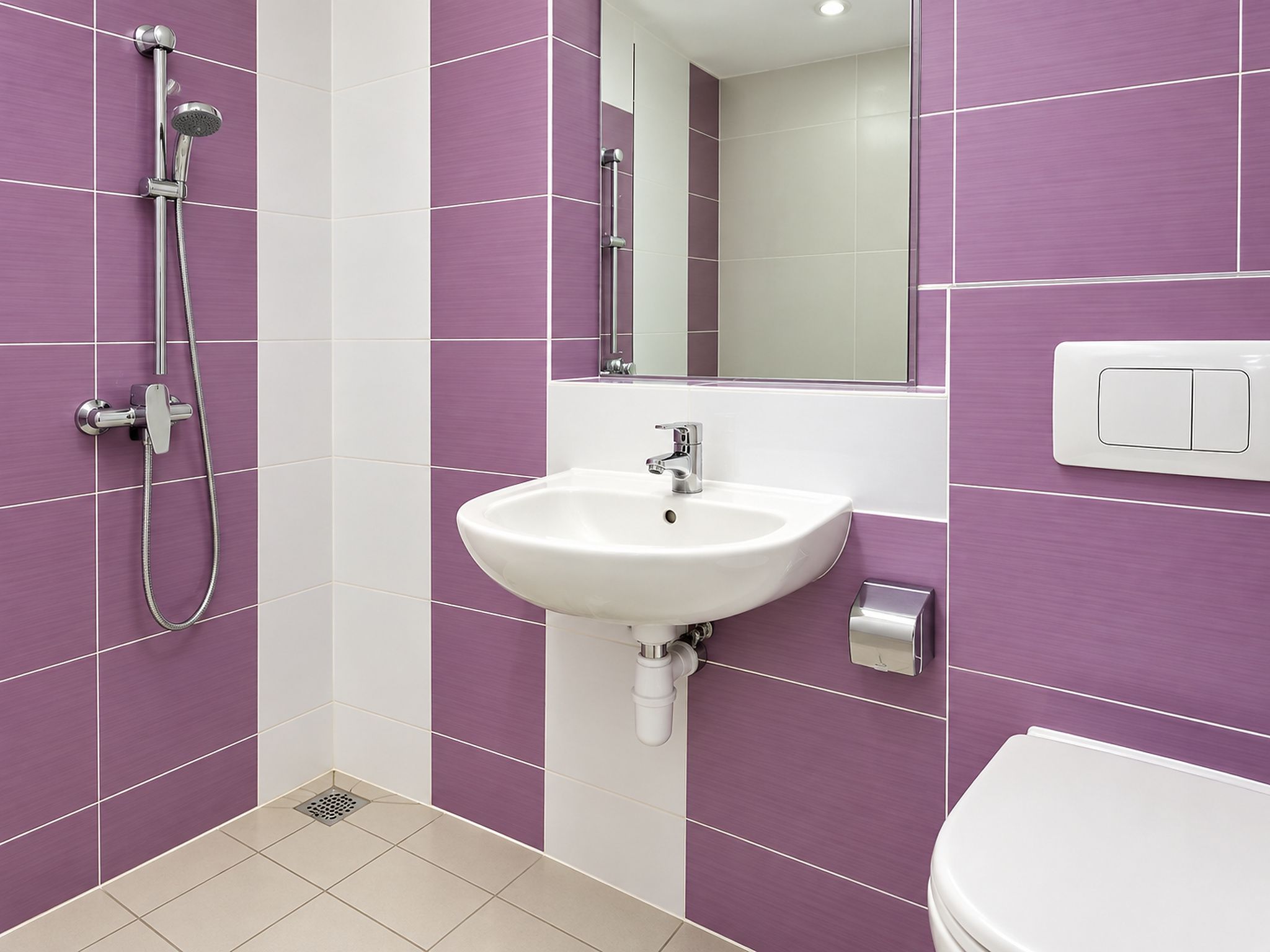A bathroom with a white sink, a handheld showerhead, a mirror, and a toilet.