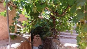 Property grounds - Mandarina Hotel (Grasse)