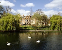 Una vista tranquila a orillas del río, con un edificio histórico y cisnes en el agua.