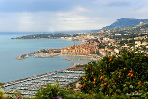 Vista desde la propiedad