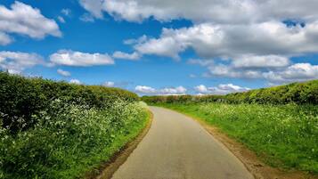 Eine ländliche Straße schlängelt sich durch üppiges Grün unter blauem Himmel.