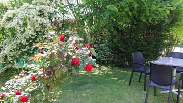 Un jardín con rosales y una mesa con sillas.