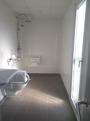 Shower, hair dryer, towels