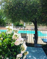 Zona junto a la piscina con vistas a ella, sillones de descanso y una mesa.