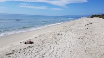 Pantai di sekitar dan pasir putih