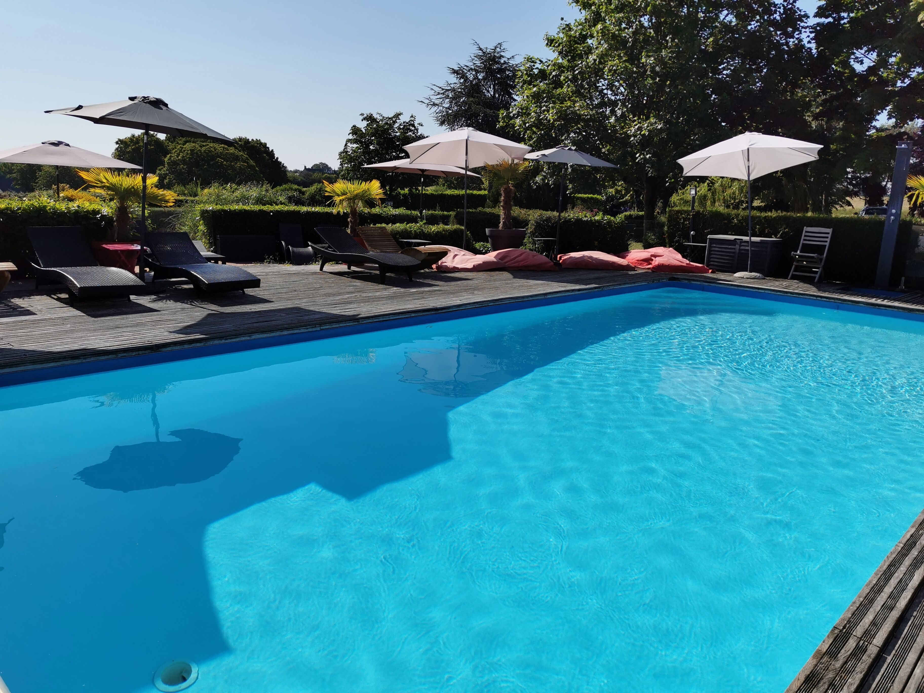 seasonal outdoor pool, pool umbrellas, pool loungers