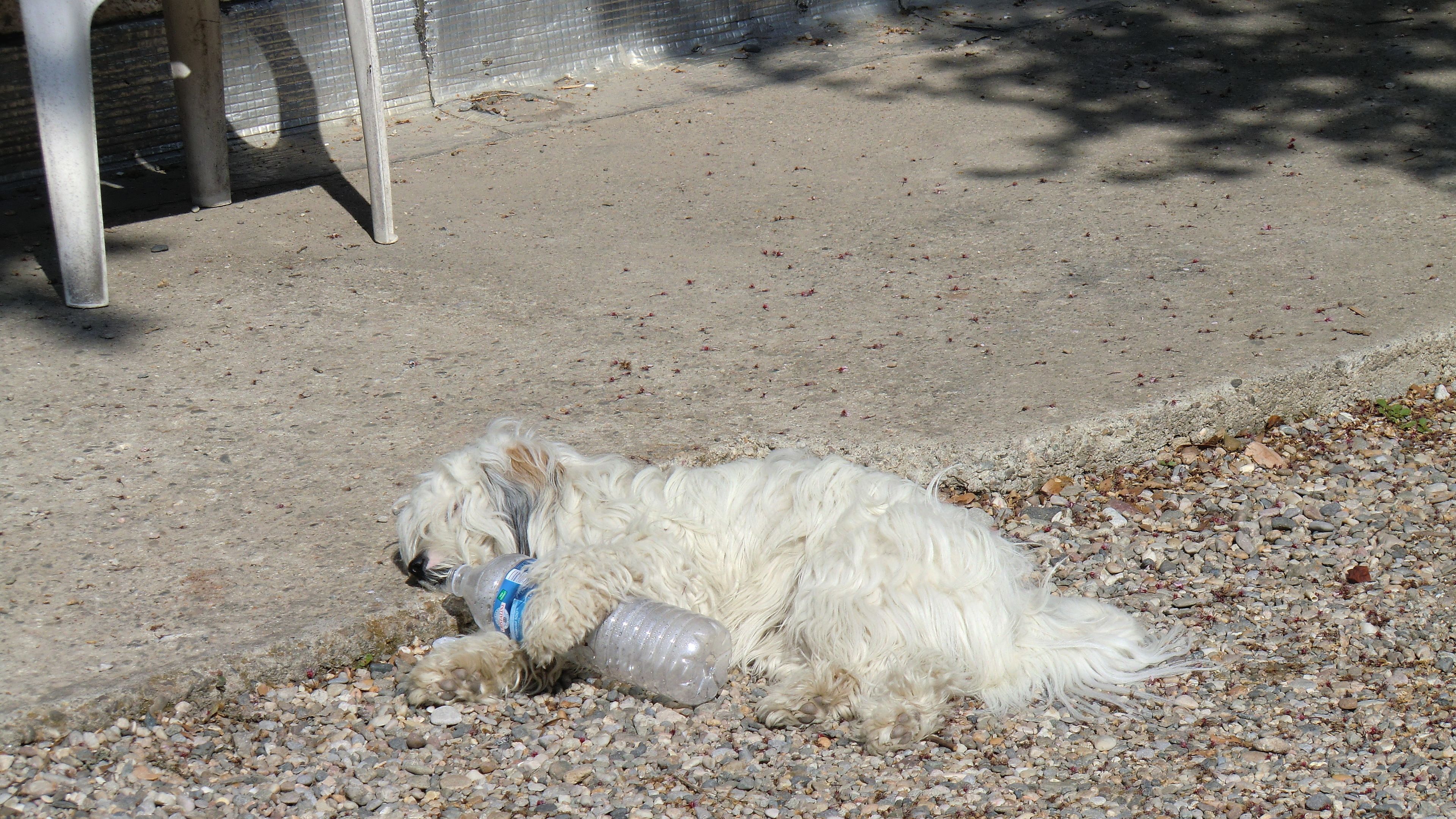 Photo - cit'hotel Hotel Las Cigalas