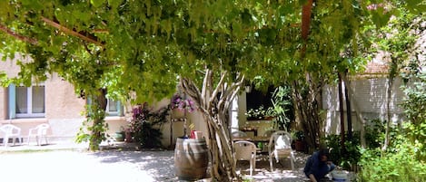 A garden area with a pergola covered in grapevines, outdoor seating, and a large barrel.