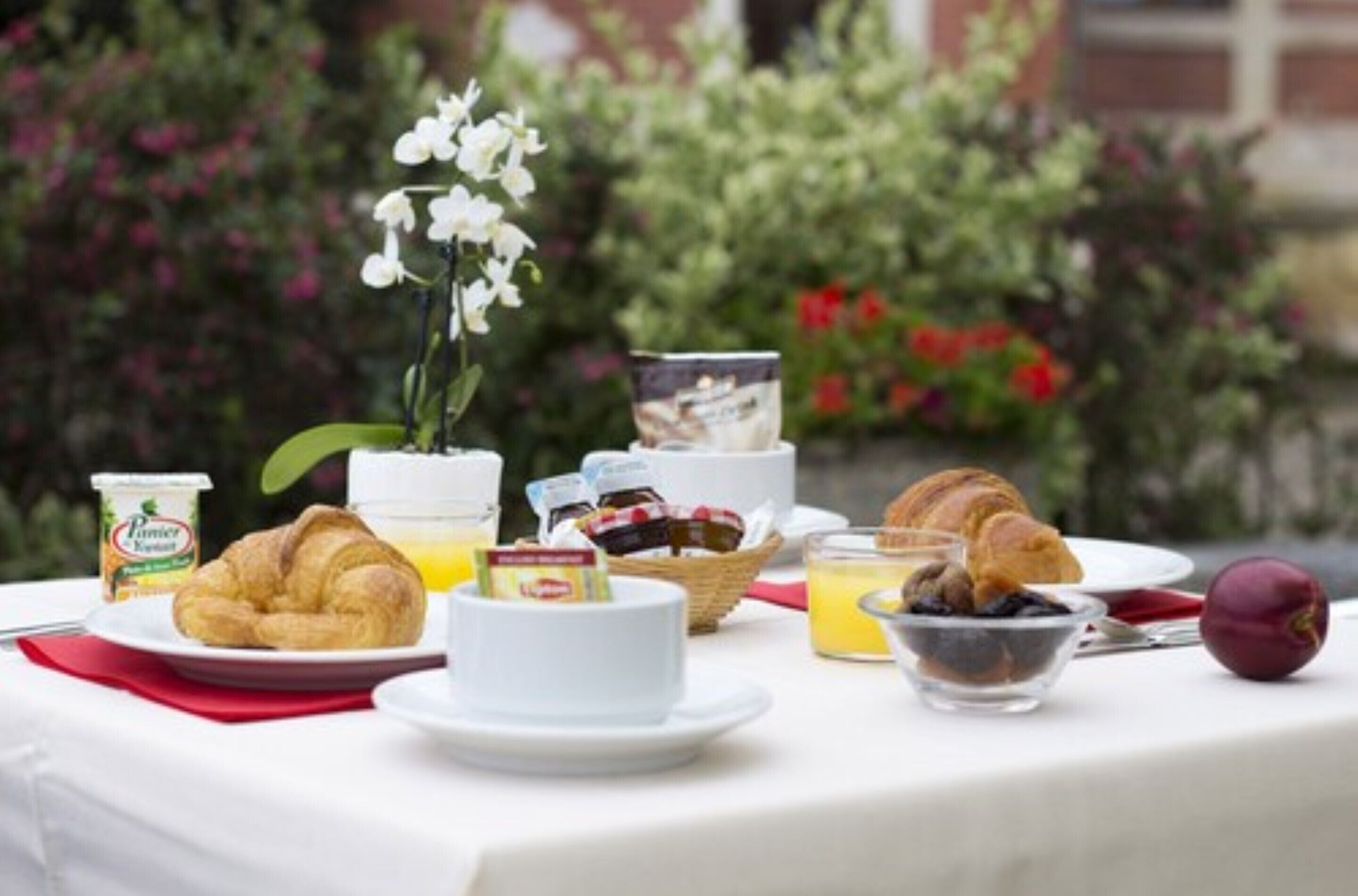 Foto - Hôtel Le Dauphin