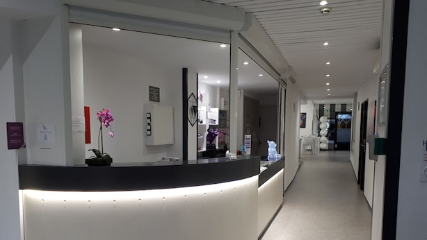 Reception - Hotel Le President (Toulouse)