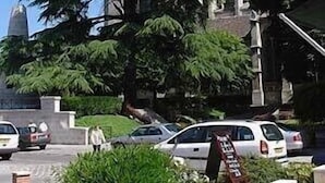 A building with a large tree in front, a parking lot with cars, and a clear sky. - Citotel Le Cedre (Noyon)