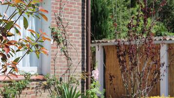 A garden with a brick wall, a wooden fence, and various plants.