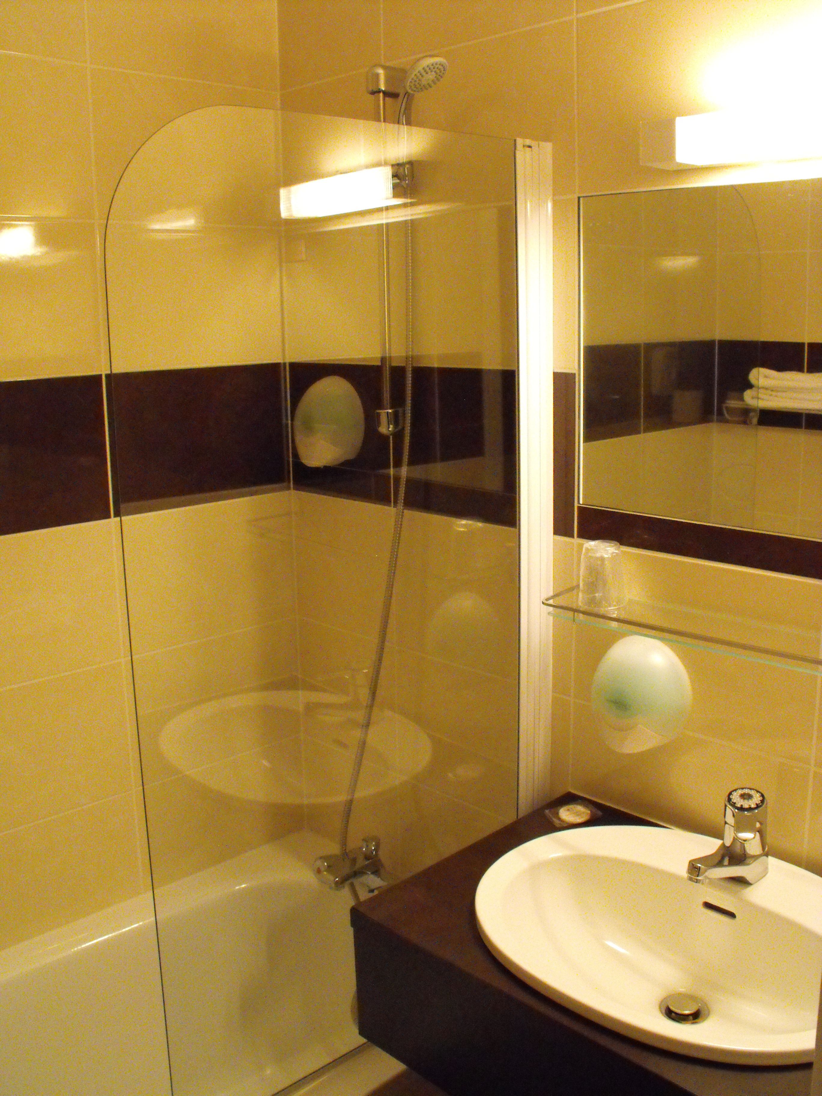 combined shower/bathtub, free toiletries, towels