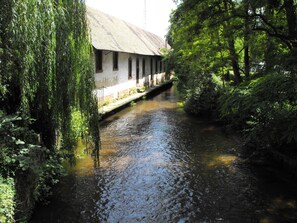 Un étroit canal bordé d’une végétation luxuriante et un bâtiment traditionnel doté d’un toit en tuiles.
