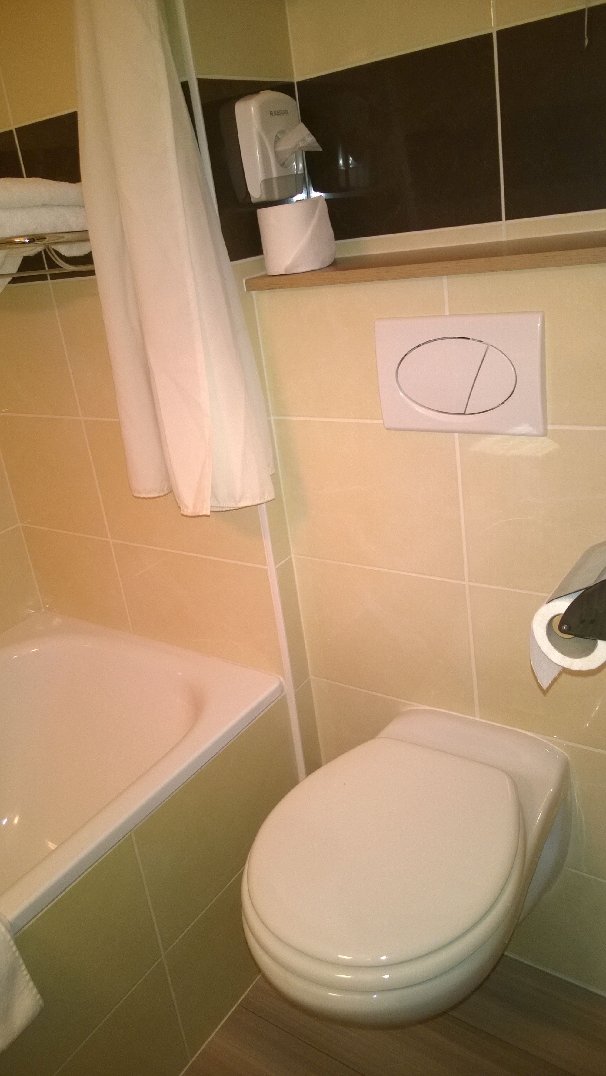 combined shower/bathtub, free toiletries, towels
