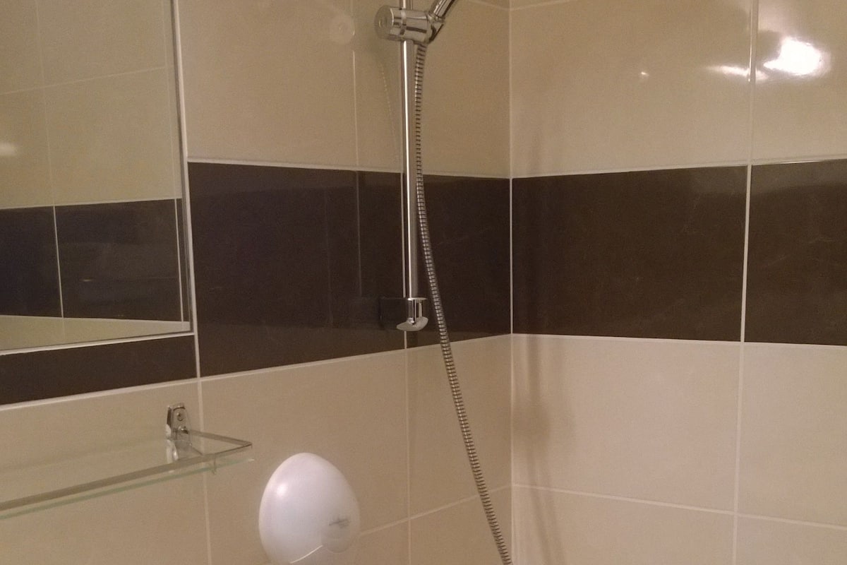 combined shower/bathtub, free toiletries, towels