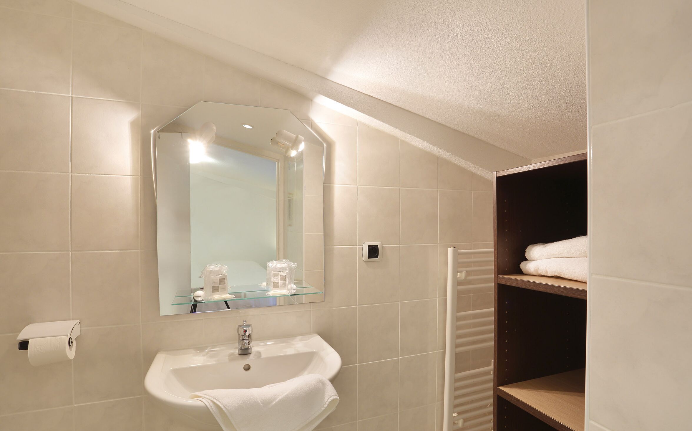 Salle de bain | Articles de toilette gratuits, serviettes fournies, papier toilette