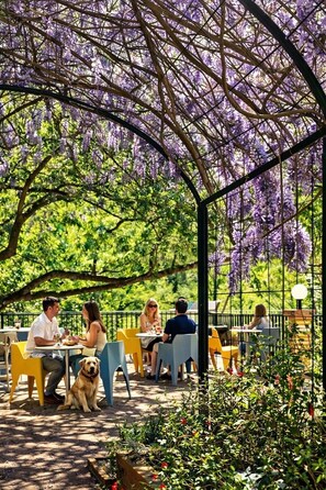 An outdoor café with tables and chairs, surrounded by purple flowering trees. - Appart'Hotel-Restaurant Castel Emeraude (Arles-sur-Tech)