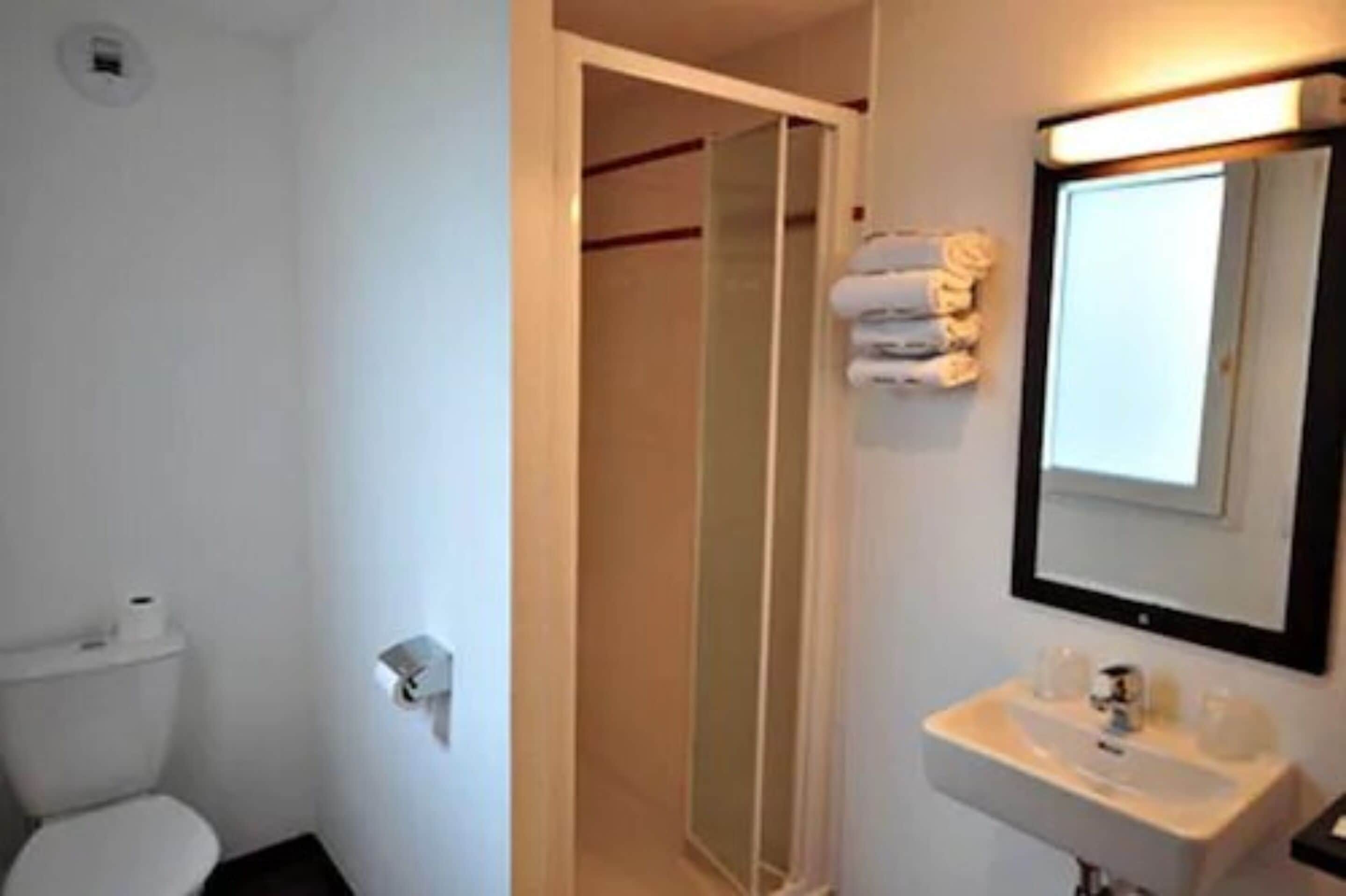 A bathroom with a toilet, a sink, a shower, and a mirror.