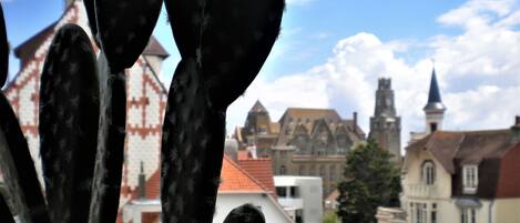 Een close-up van een cactus met stekels, met een vage achtergrond van gebouwen en een kerktoren.