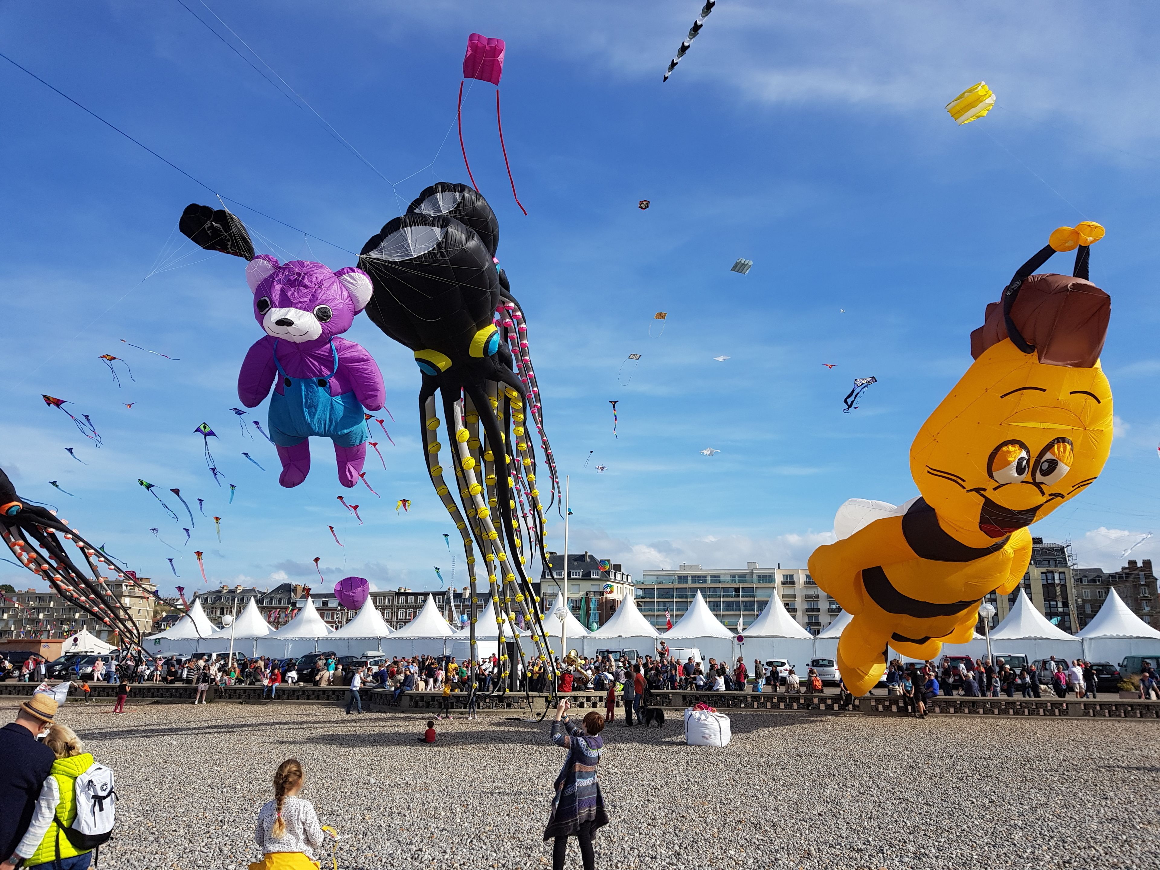 A beach with people and kites.