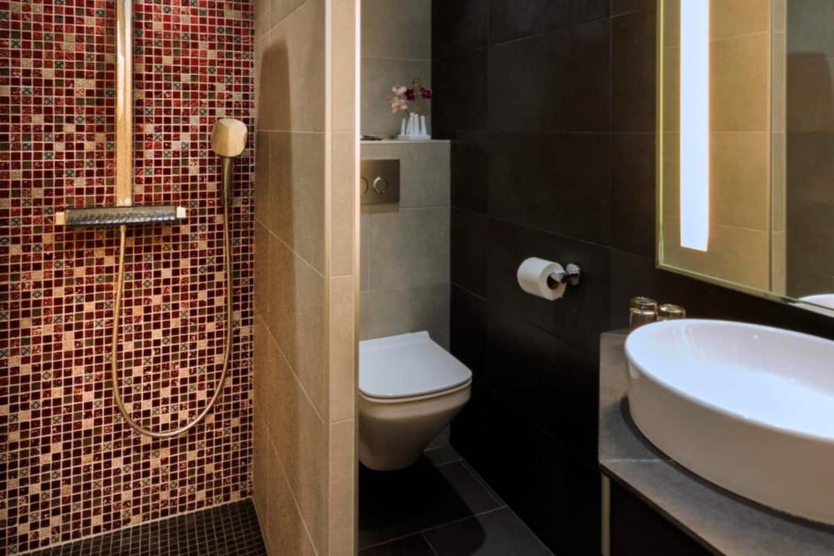 free toiletries, hair dryer, towels