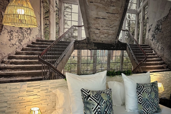 Premium bedding, individually decorated, individually furnished, desk