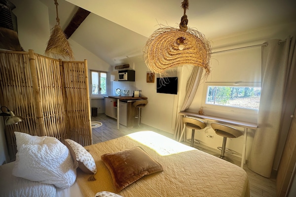 Premium bedding, individually decorated, individually furnished, desk