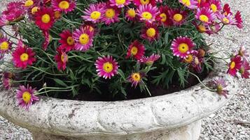 Una jardinera de piedra con flores rosas y amarillas.