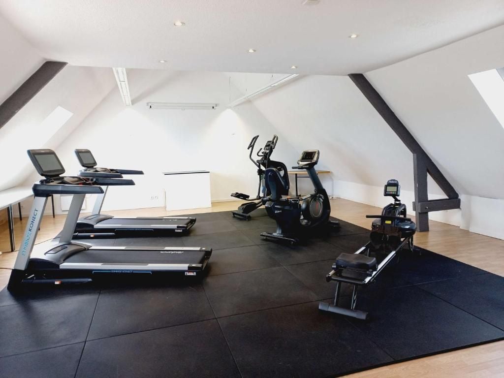 A gym with treadmills, an elliptical, and a stationary bike, featuring a sloped ceiling and a view of the sky.