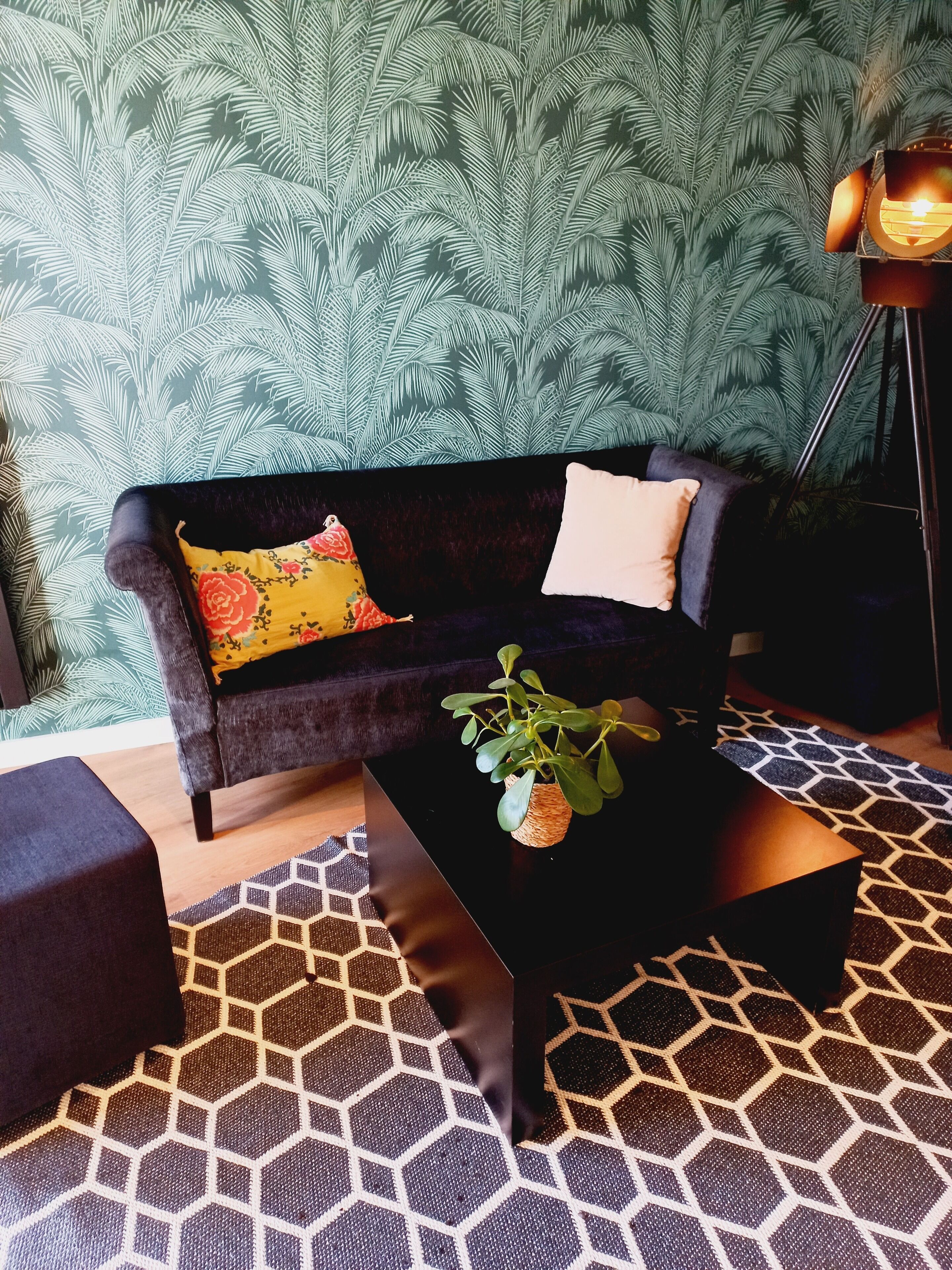 Una sala de estar moderna con un sofá oscuro, un tapete estampado y una planta pequeña sobre una mesa de centro.