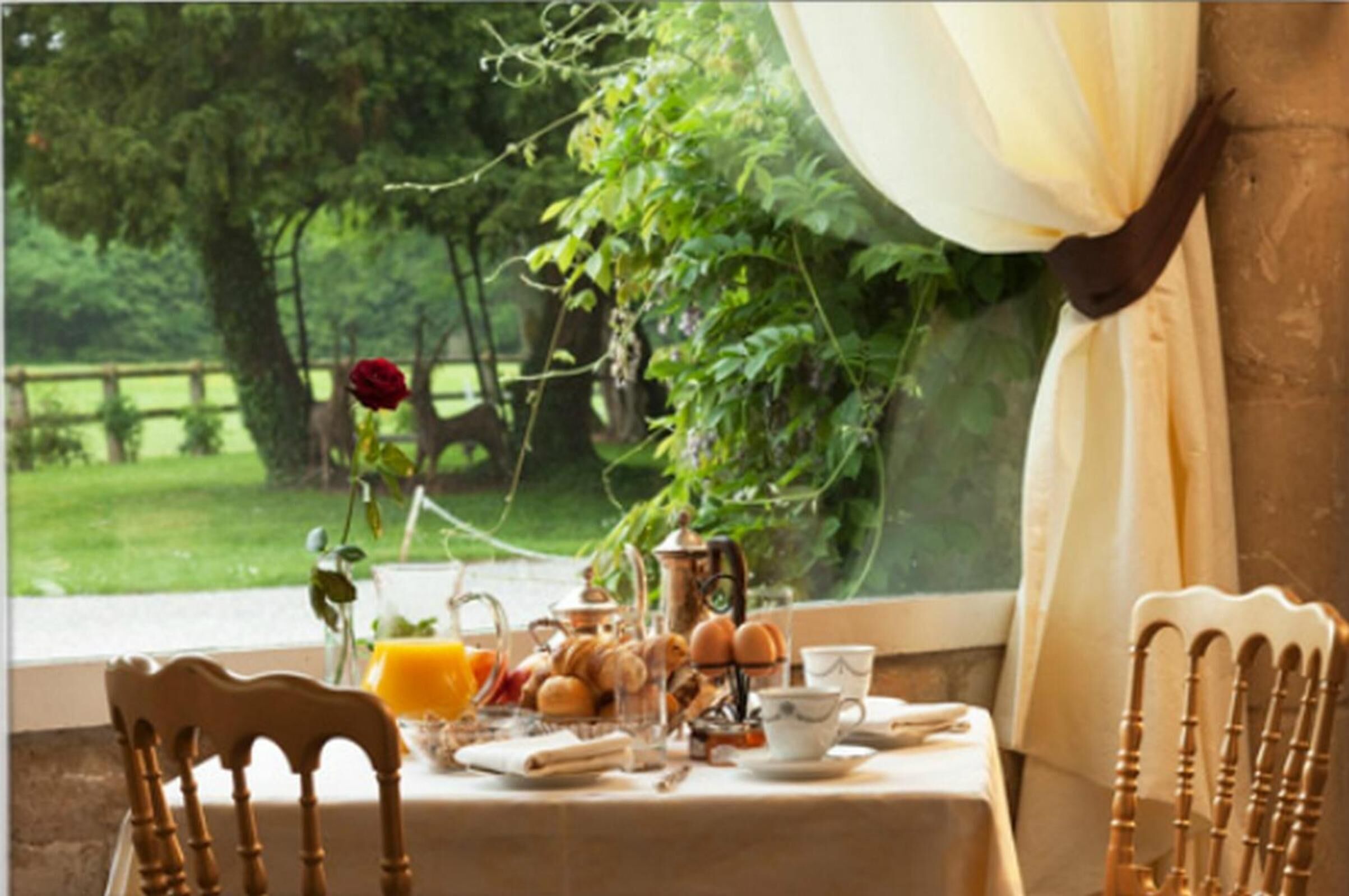 lunch and dinner served, french cuisine