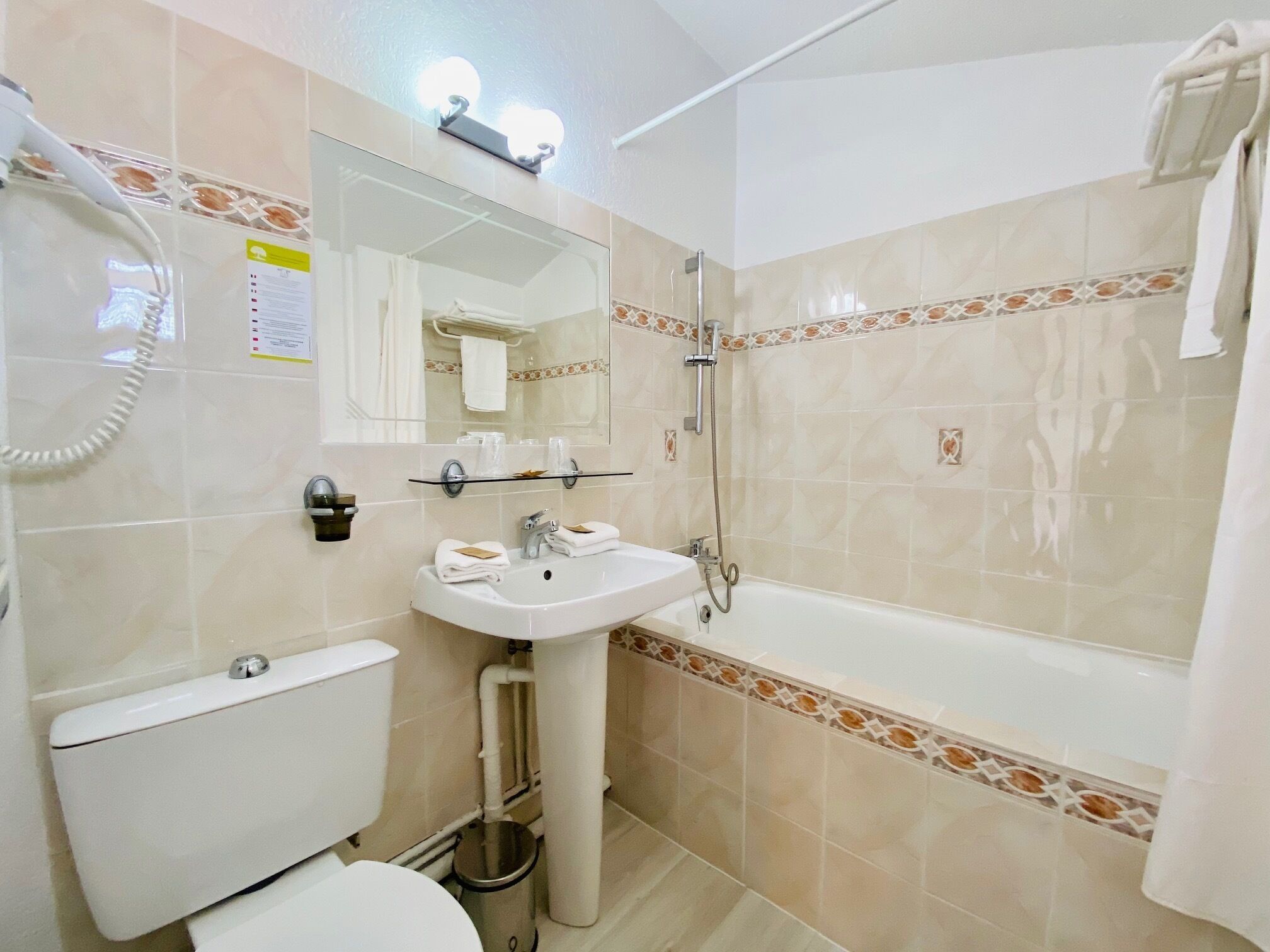 hair dryer, towels, soap, shampoo