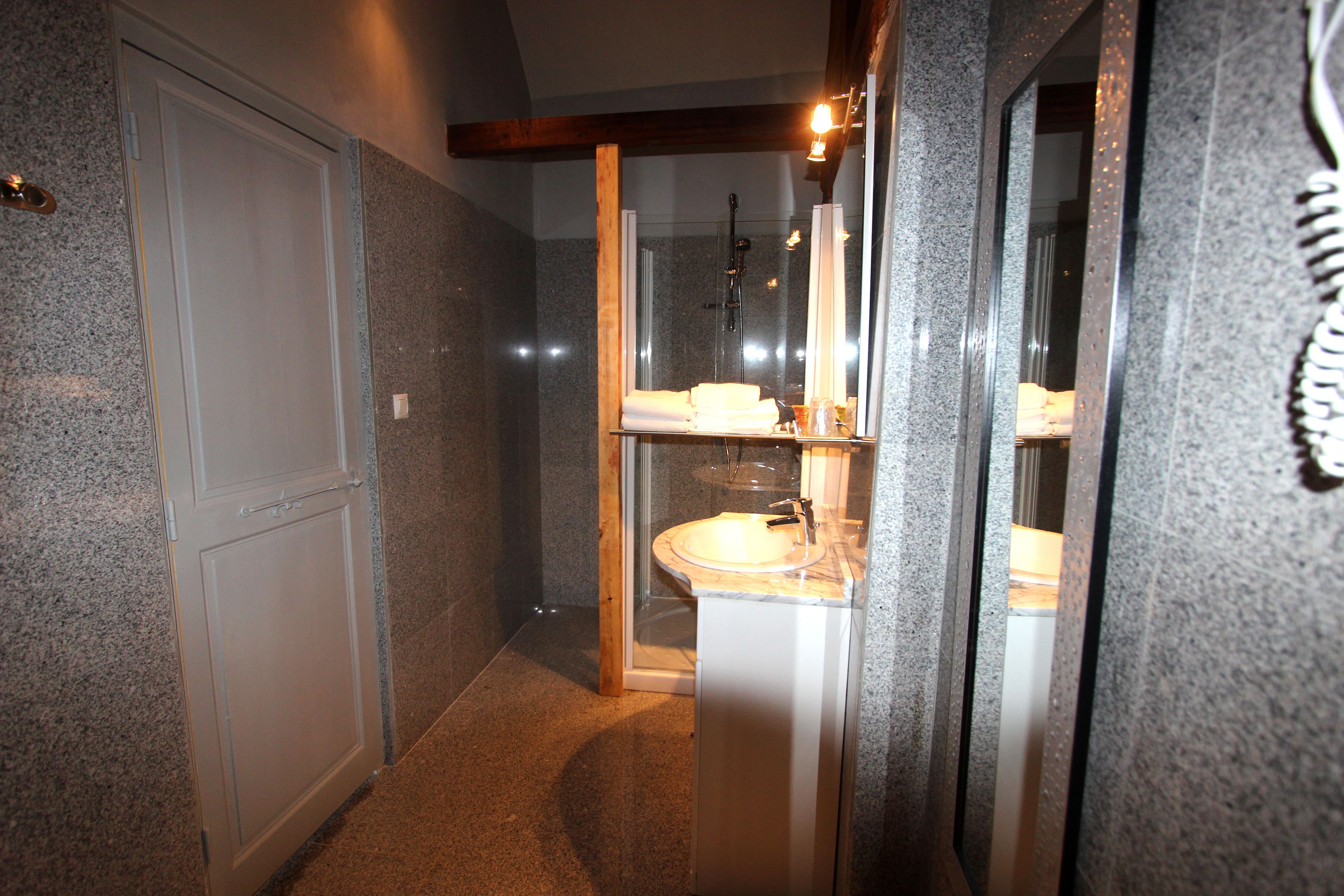 A bathroom with a glass shower enclosure, a sink, and a mirror.
