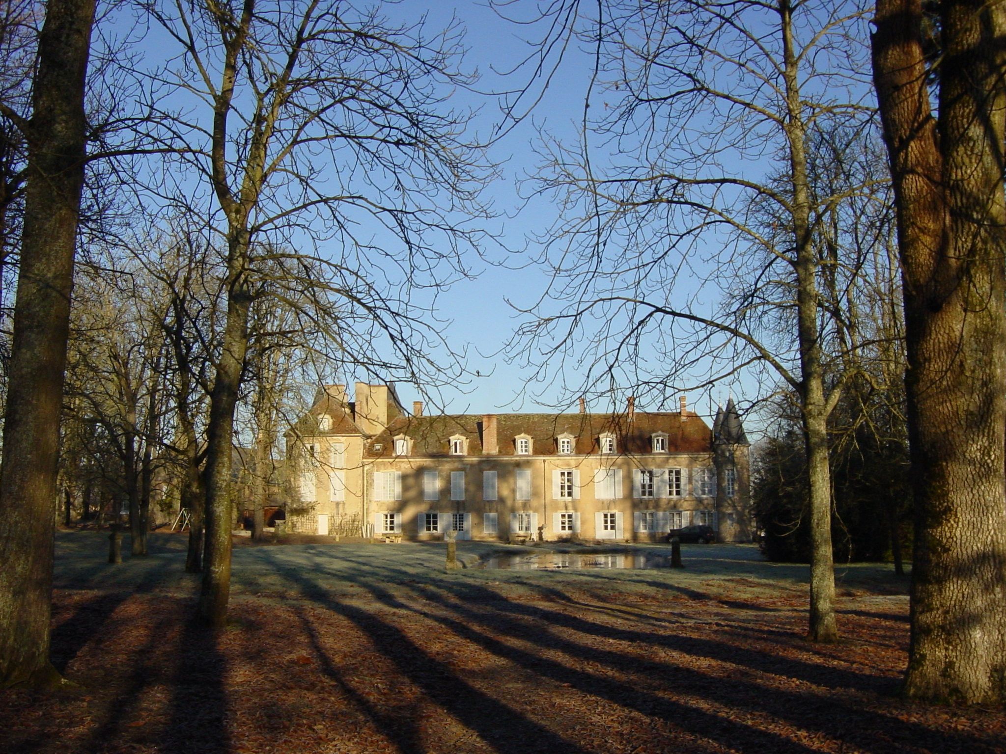 A large, historic building with symmetrical architecture, surrounded by a forested area with tall trees casting shadows on the ground.