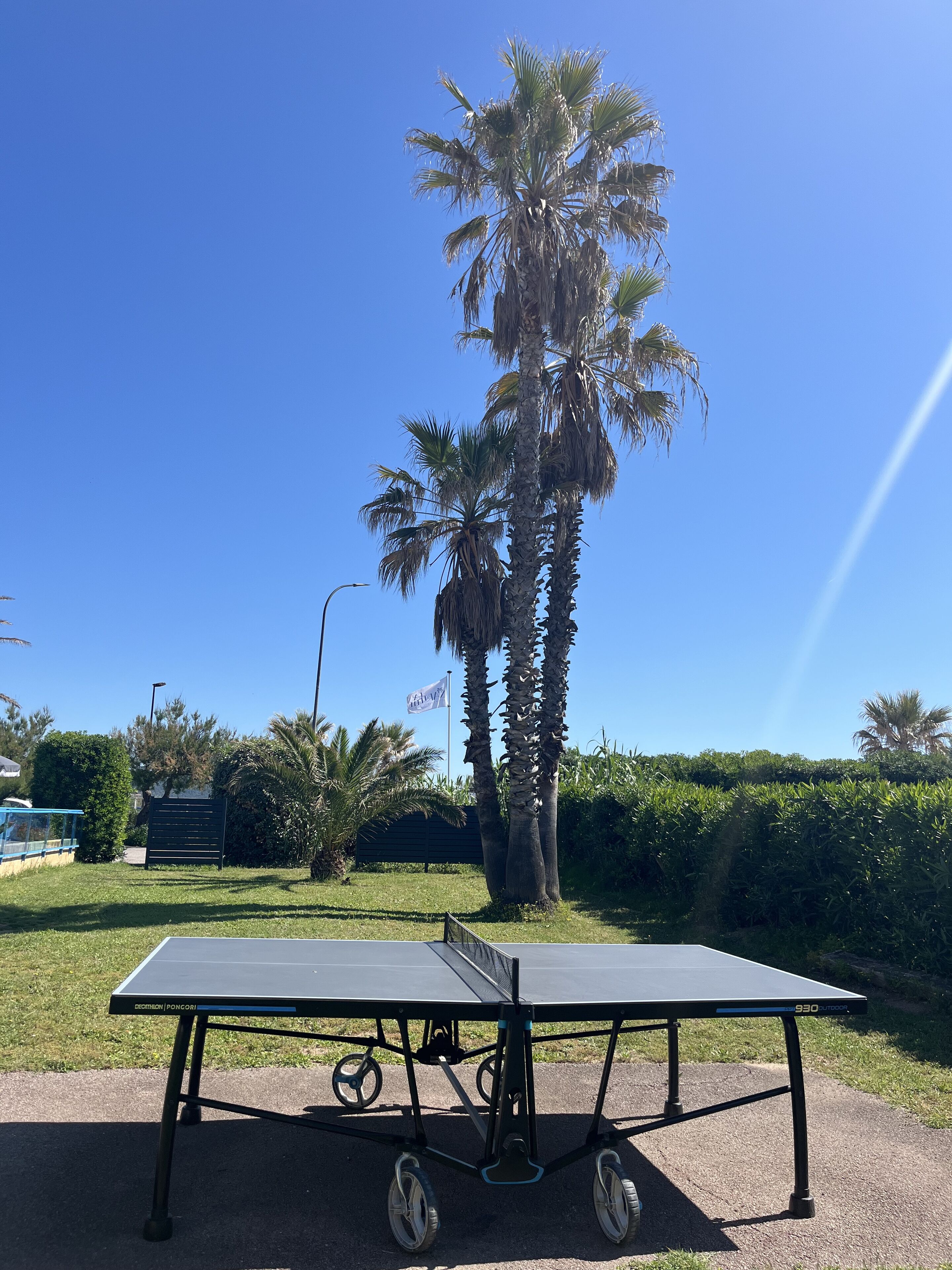 A table tennis table in an outdoor setting with a clear blue sky and palm trees in the background.
