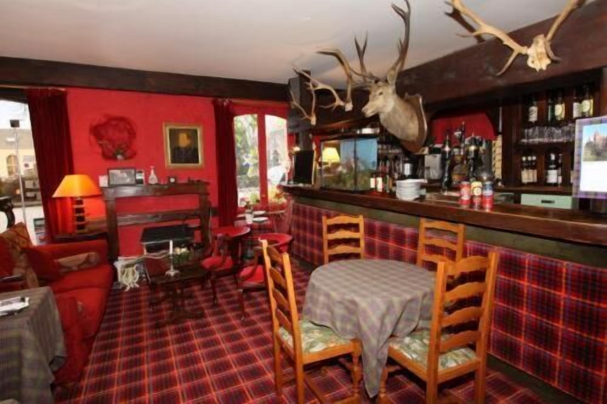 A bar area with a mounted deer head, plaid carpet, wooden chairs, and a red wall.
