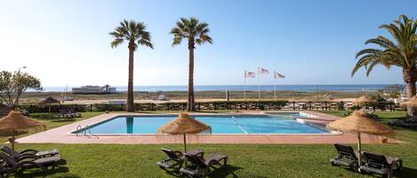 Un espace piscine doté de chaises longues, de palmiers et offrant une vue sur la plage et l’océan.