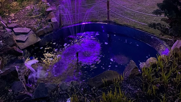 花園
