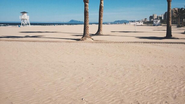 A sandy beach with palm trees and a lifeguard tower in the background. - Hotel Albatros (Gandia)