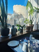 A table set with plates, cutlery, and a glass of water, with potted plants on a windowsill.