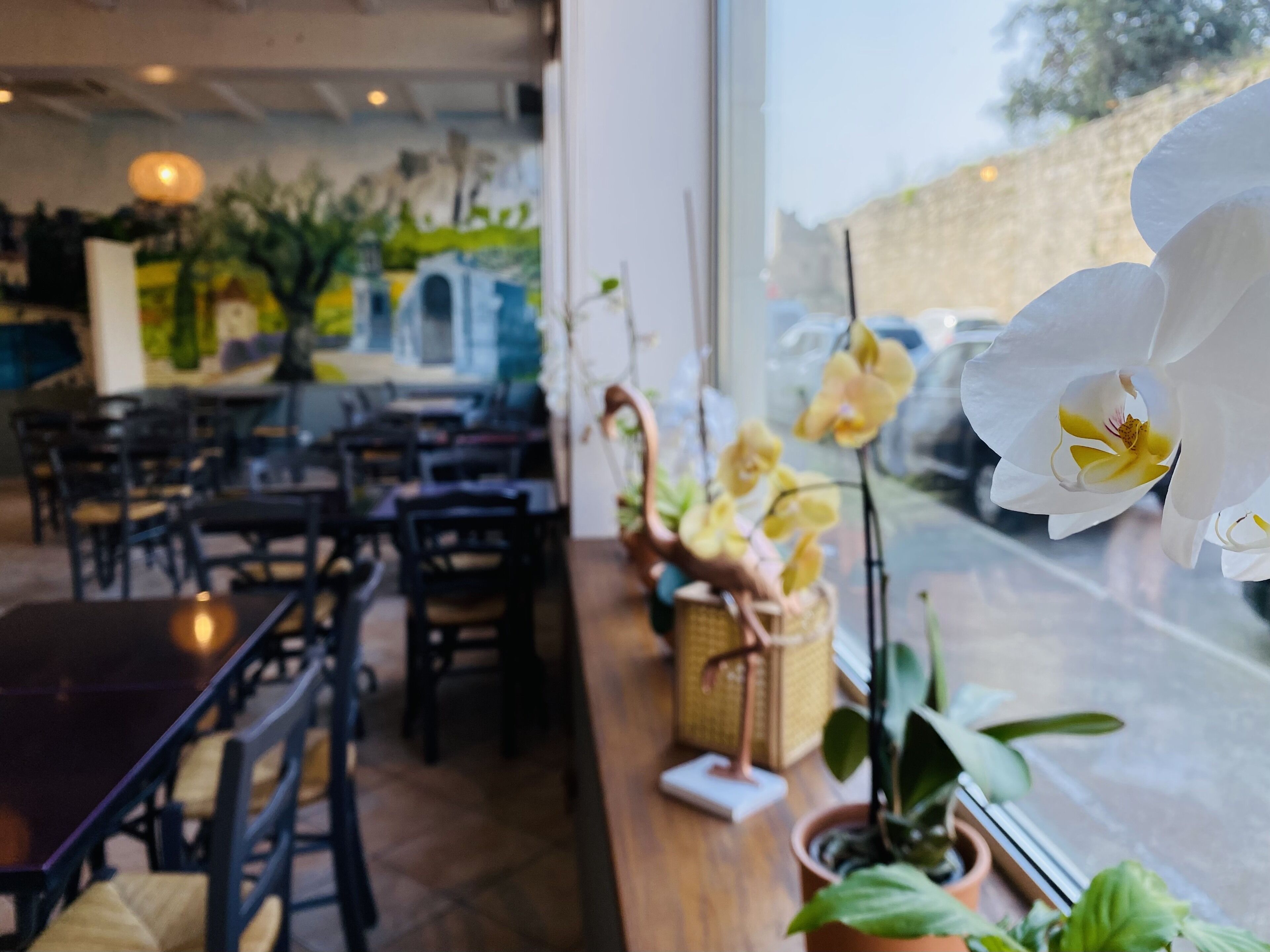 Foto - Brit Hotel Acacias