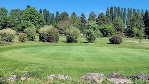 Um campo de golfe bem cuidado com um caminho visível, rodeado por árvores densas e alguns arbustos esparsos.
