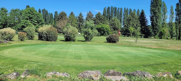 A well-maintained golf course with a clear path, surrounded by dense trees and a few scattered bushes.