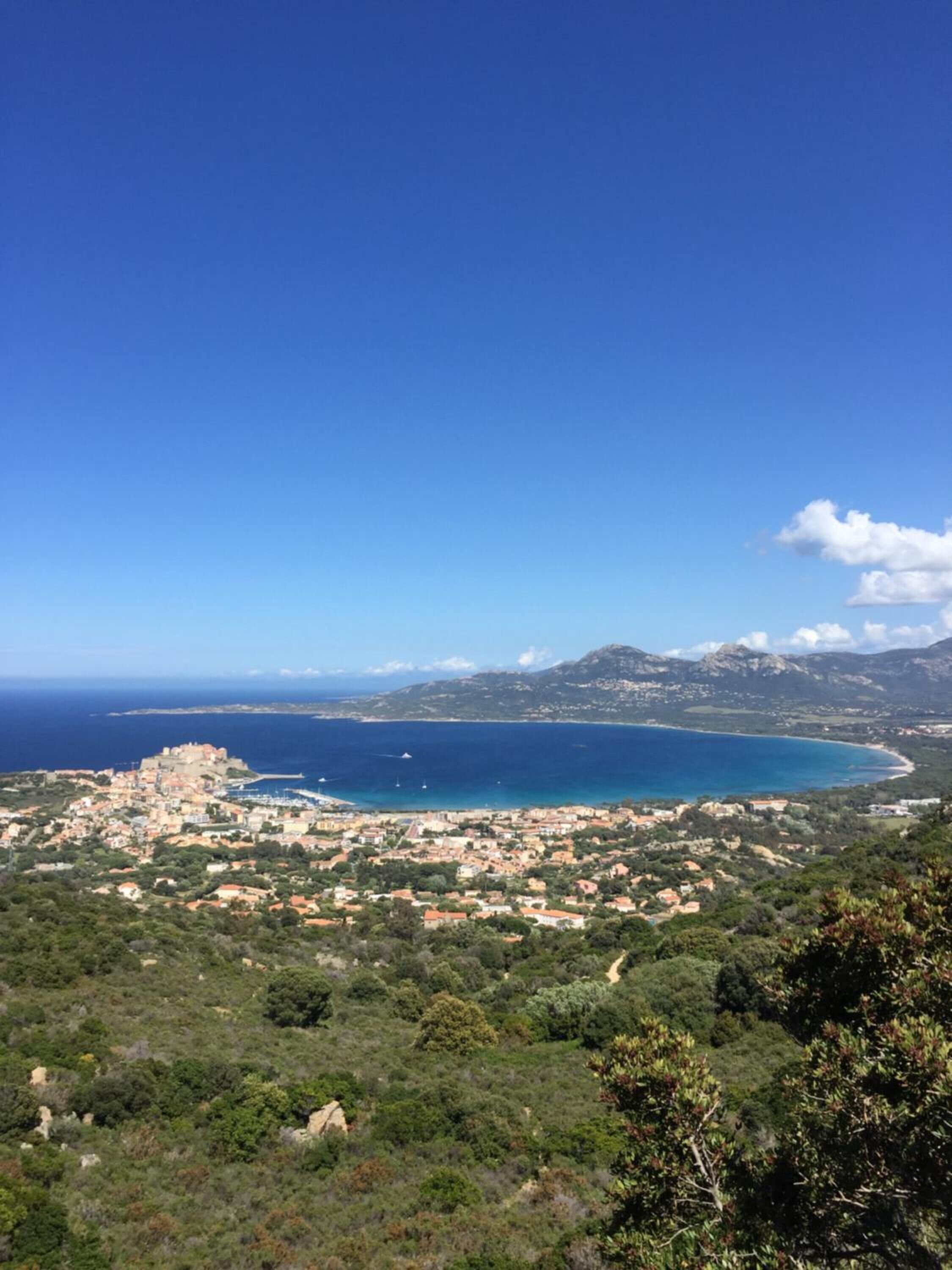 Un pueblo costero con un castillo histórico, abundante vegetación y una vista despejada del mar.