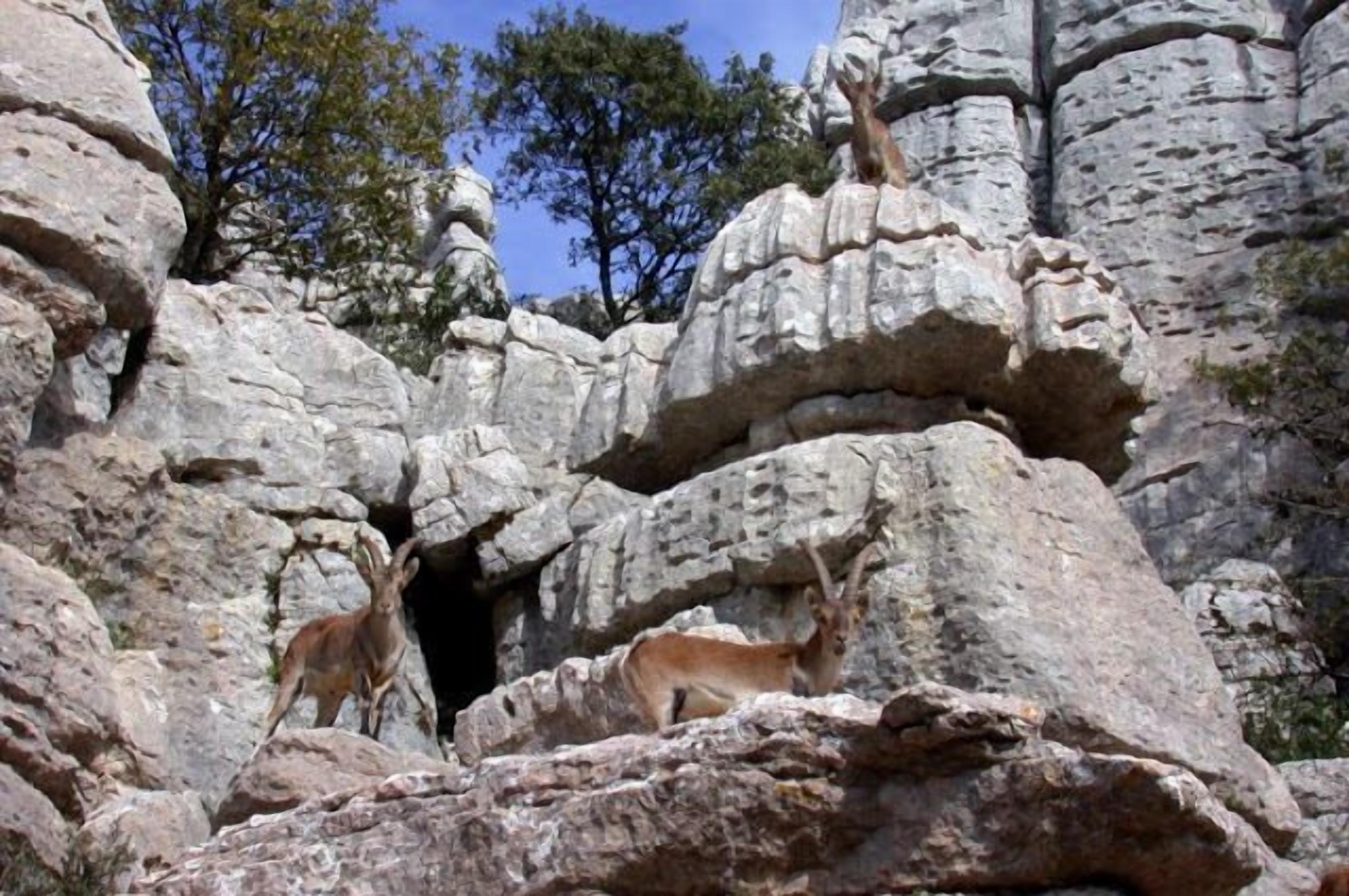 Foto - Hostal Colon Antequera